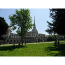 Immagine: Torino, il comune cerca un giardiniere. C'è tempo per candidarsi fino al 17 maggio