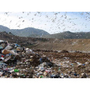 Immagine: Sicilia, chiuso impianto di compostaggio a Ramacca. L’Isola verso una nuova emergenza rifiuti
