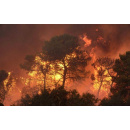 Immagine: Più incendi con i cambiamenti climatici nel Mediterraneo