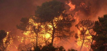 Più incendi con i cambiamenti climatici nel Mediterraneo