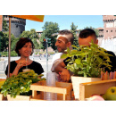 Immagine: Milano, arrivano le ‘Isole itineranti del gusto’ tutte eco-friendly