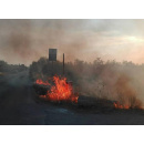 Immagine: Terlizzi, tonnellate di rifiuti abbandonati e incendiati: “È una vera e propria emergenza”