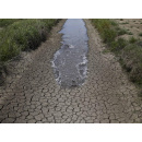 Immagine: Siccità, la comunità scientifica lancia l’allarme: ‘Avremo sempre meno acqua e di peggiore qualità’