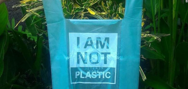 Raccolta differenziata: plastica e bioplastica non vanno buttate insieme! | Video