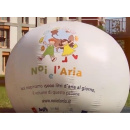 Immagine: Noi e l’Aria, il progetto di Arpa Piemonte per le scuole sull’inquinamento atmosferico