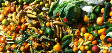 Regione Lazio, firmato protocollo contro gli sprechi alimentari