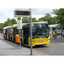 Immagine: Dalla Germania: i Verdi contrari ai trasporti pubblici gratis