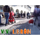 Immagine: Vivilibrôn, il progetto dove Ecomori e Sentinelle salvano i libri dall'inceneritore | VIDEO