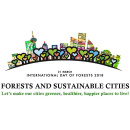 Immagine: Giornata Internazionale delle Foreste: l'edizione 2018 è dedicata alle “Foreste e città sostenibili”