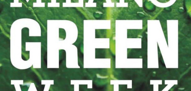 A settembre la prima edizione di Milano Green Week, da novembre 2017 piantati quasi 15mila alberi