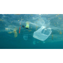 Immagine: Le sostanze tossiche veicolate dalla plastica in mare: nuovo studio di Legambiente e Università di Siena
