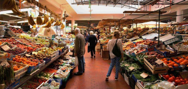 Viaggio nel mercato “Trieste” di Roma che dona il cibo ai migranti, dove convivono commercio, solidarietà e tutela del bene comune