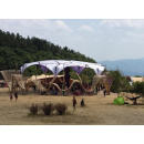 Immagine: WAO Festival 2018: musica, ecologia, architettura naturale e permacultura dal 14 al 19 Agosto 2018 sul Monte Peglia