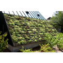 Immagine: Ambiente: tetti verdi in città anche d’inverno per contrastare eventi meteo estremi