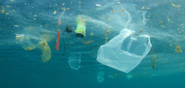Parlamento Europeo, approvato il divieto alla plastica monouso entro il 2021