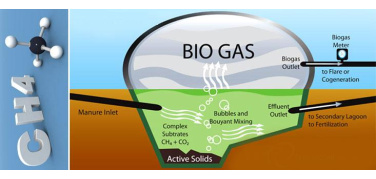 La Piattaforma Biometano scrive alla Commissione Ue per ribadire la centralità del gas rinnovabile nell'economia del futuro