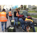 Immagine: Roma, il progetto di recupero cibo al mercato di piazza Vittorio va a gonfie vele