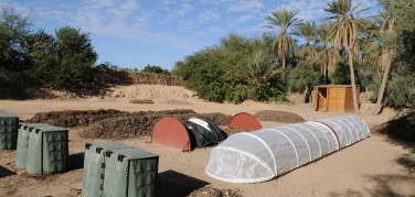 AICA lancia un crowdfunding per il progetto 'Green Oasis for Tozeur Governorate' in Tunisia
