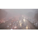 Immagine: Onu, inquinamento: 'L'umanità sta per causare la sesta estinzione di massa del pianeta'