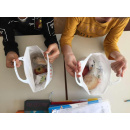 Immagine: ‘Io non spreco’, arrivano nelle scuole bolognesi le buone pratiche di sostenibilità
