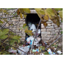 Immagine: Puglia, 15 milioni dalla Regione per contrastare l’abbandono dei rifiuti