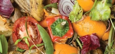 Spreco di cibo, Fipe presenta il suo manifesto per una ristorazione sostenibile