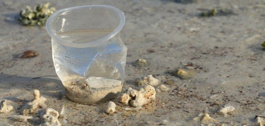 Puglia, il Tar sospende l'ordinanza regionale contro la plastica monouso nei lidi balneari