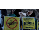 Immagine: Greenpeace in azione davanti al Ministero delle Politiche Agricole: 'Siamo in emergenza climatica, basta fondi pubblici al sistema degli allevamenti intensivi'