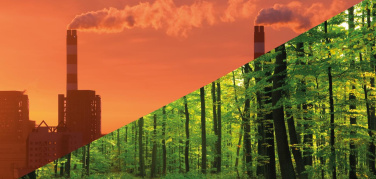 Ad Ecomondo 2019 il convegno 'Impronta ambientale e strategie di riduzione delle emissioni. Mosaico Verde come strumento per mitigare gli impatti delle aziende sul territorio'