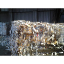 Immagine: Assocarta: 'Il riciclo della carta non è in crisi, ogni minuto vengono riciclate 10 tonnellate di carta'