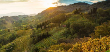 Un patto tra la chimica verde e la filiera vitivinicola italiana nel segno della sostenibilità e della qualità