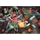 Immagine: La gestione dei rifiuti organici, un potenziale non sfruttato nell'Unione Europea