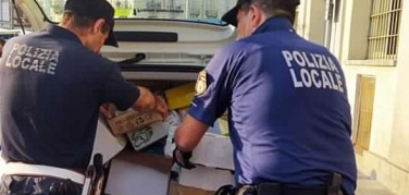 Torino: la polizia municipale sequestra 25.500 sacchetti di plastica venduti abusivamente agli ambulanti di Porta Palazzo
