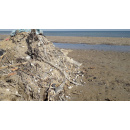Immagine: I valori soglia dei rifiuti spiaggiati stabiliti dall'Europa per definire una spiaggia pulita