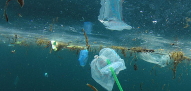 Nel Mediterraneo ogni anno 229.000 tonnellate di plastica, il 15% proviene dall'Italia