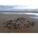 Immagine: DDL 'Salvamare', Alleanza delle cooperative e WWF: norme più semplici e più chiare per un mare libero da rifiuti