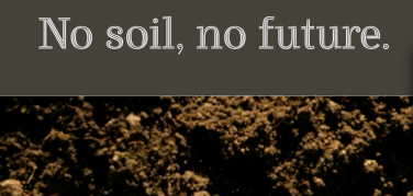 Double Digital Week di Ecomondo: la Fondazione Re Soil e il Cluster SPRING per 'Un suolo produttivo ed in salute'
