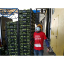 Immagine: Carovana Salvacibo, dal CAAT di Torino recuperate e distribuite 180 tonnellate di frutta e verdura per contrastare l’emergenza alimentare